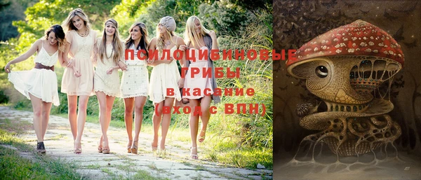 шишки Богородск
