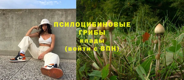 гидра Бородино