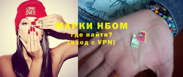 гидра Бородино