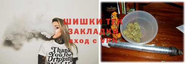 гидра Бородино