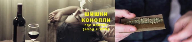 гидра Бородино