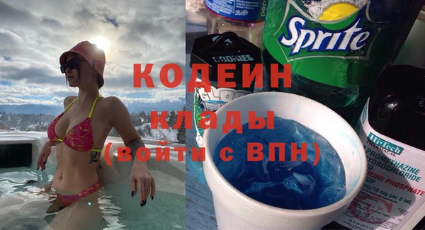 шишки Богородск