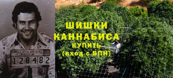 ECSTASY Бронницы