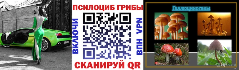 даркнет сайт  Городовиковск  Псилоцибиновые грибы ЛСД 